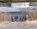 Un fiume di petrolio sversato nel Lambro