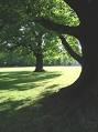 Nuovi orari di apertura del Parco di Monza